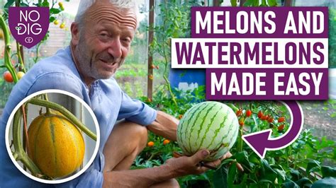 meloonstube|Melons